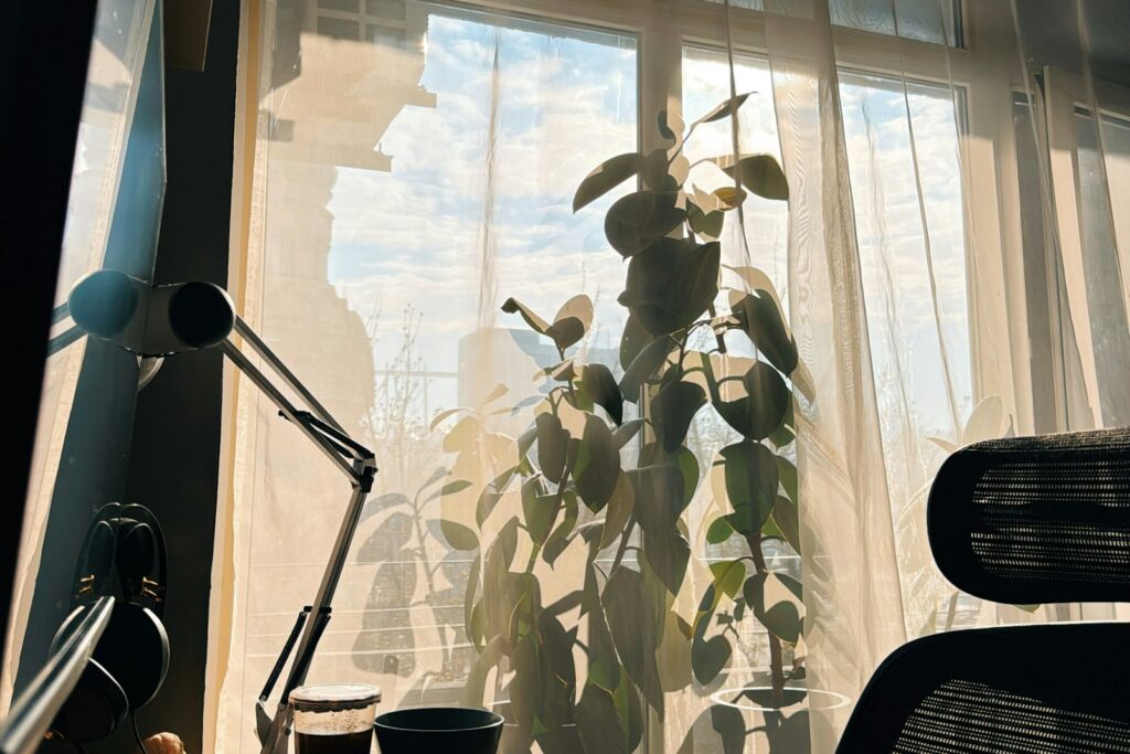 Heimarbeitsplatz mit Pflanzen am sonnigen Fenster als Arbeitsort im Remote Leadership